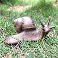 Miniatyrbillede 3 af 5: 4 stk. Sneglefigurer Sneglemodel Miniature Snegl til Fehave Mikrolandskabs Dekoration