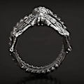 Miniatyrbild 3 av 5: Alien Facehugger Ring Punk Motorcykel Stil Överdriven Dominant Skalle Magisk Klo Ring Unik Gotisk Smycke Spinner Band Ring, 9