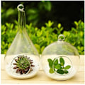 Miniatyrbild 3 av 4: Transparent hängande planter glas terrarium vas blomkruka för hemmakontor trädgårdsdekoration (Teardrop)