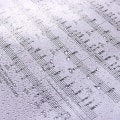 Miniatyrbild 3 av 5: 30-ficks A4-notbladspärm för musiker, indexfickor i plast, dubbel-