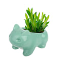 Miniatyrbild 3 av 5: Kawaii Keramisk Blomkruka Succulent Planter Växter Blomkruka Med Hål Hem Offi
