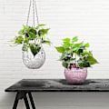 Miniatyrbild 3 av 5: Spegeldiscokula Hängande Planterkorg Glänsande Blomkruka Fönster Växtkorg ( Storlek, färg: Rosa-15cm