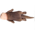 Miniatyrbild 3 av 5: Söt Otter Bomullsfylld handledsstöd kudde handledsstöd stressavlastning plyschleksak för tangentbord mus handledsstöd