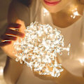 Miniatyrbillede 4 af 5: Led-lyskæde, fe-lys, udendørs, julelys, guirlande, batteridrevet