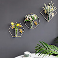 Miniatyrbild 4 av 5: Hängande planteringsvas, väggmonterad växtterrariumblomvas glas provrörsodlare med geometrisk guldmetall växtupphängningsväggdekorbehållare Hom