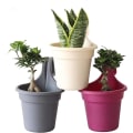 Miniatyrbillede 4 af 5: Hængende Planter Hængende Planter med Krog Plante Blomsterkrukker Vægmonteret Spand Potteplanter Kurv Indendørs Hjem Have Balkon Dekoration Hængende F