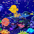 Miniatyrbild 3 av 5: 3PCS Konstgjord fisk Akvarium Silikon Flytande Lysande Clownfish Set, Lysande Effekt Dekor Prydnader för Fisk Tank, Undervattens Saltvatten Falsk Färgglad