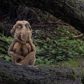 Miniatyrbild 3 av 5: Gargoyle-skulptur, trollstatyer, gotisk skulptur, gargoyle-statyer utomhus, gargoyle gotisk dekorstaty, trollhartshantverk, gargoyle-hartshantverk
