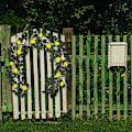 Miniatyrbillede 5 af 5: Kunstig Have Kunstige Grene Gren Fest Citron Gul Citron Hjem Hjem Dekoration Silke Roser Kunstige Blomster Bulk Tørrede Blomster (Farve: Multi