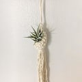Miniatyrbillede 3 af 5: Blomsterkurv Ananas Form Landskabsstilfuld Hjemhave Planteophæng til Kontor B