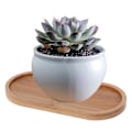 Miniatyrbilde 3 av 5: Ovalformet bambusbrett Naturlig Dessertkoppbrett Liten Treostfat
