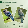 Miniatyrbild 4 av 5: 304 Bläckpatroner Combo Pack, 304 XL Bläckpatroner Ersättning för 304 Bläckpatroner HP Svart och Färg