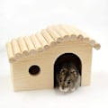 Miniatyrbilde 4 av 5: Hamsterhus Hamster Trehus Smådyr Rede Habitat Hus