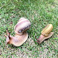 Miniatyrbillede 4 af 5: 4 stk. Sneglefigurer Sneglemodel Miniature Snegl til Fehave Mikrolandskabs Dekoration