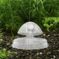 Miniatyrbild 1 av 5: Snigel fälla för akvarium, akvarium fisk växt tank plast klar snigel fälla akvarium fisk tank växter planarian leech catcher