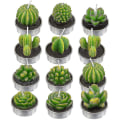 Miniatyrbillede 1 af 3: 12 Kaktuslys, Kunstige Plante Sukkulente Lys, Valentinsdag