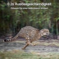 Miniatyrbillede 4 af 5: Trail-kamera, jagtkamera med vidvinkelbevægelsessensor, seneste sensor, visningsudløsertid, trail-vildtkamera uden glød ogwa