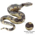 Pikkukuva 2 / 4: Halloween-temppuihin väärennetty käärme Pyon Snake Toy -kumi käärmehahmo