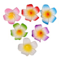 Miniatyrbillede 1 af 3: 6 stk Frangipani Hårnåle Hårklips Brud Barrette Hårklips Hårtilbehør Til Kvinder Dame