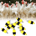 Miniatyrbild 3 av 5: 10 st Nippel Kyckling Vattenautomatisk, Automatisk Kyckling Kyckling Drickare Vatten Fjäderfä Utrustning för Kyckling