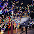 Miniatyrbillede 5 af 5: 10M 100 LED Solcellelyskæde, Opgraderet Super Holdbar Sol Julelys Udendørs, Vandtæt 8 Tilstande Sol Fe Lys(Multifarvet)