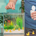 Miniatyrbillede 5 af 7: Mini Harpiks Ænder 100 Stykker Miniature Ænder, Mini Harpiks Ænder, Mini Ænder til DIY Pot Mikro Landskabs Dekorationer Forbrugsvarer
