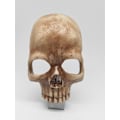 Miniatyrbillede 5 af 5: Kranium Natlampe, Halloween Gotisk Håndlavet Kranium Natlampe, Kranium Lampe Stik i Væg med Flamme Atmosfære, Gotisk