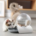 Miniatyrbillede 3 af 5: Katte Vand Dispenser Automatisk Kat Tør Foder Dispenser Kæledyr Vandflaske Killinger Mad Feeder Hund Vandskål Grå
