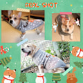 Miniatyrbillede 5 af 5: Julehundetrøje kæledyr turtleneck sweater med rensdyr snefnug mønster kæledyr ferie sweater S