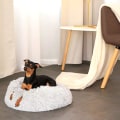 Miniatyrbilde 2 av 5: Hundeseng, katteseng, rund donut-sofa for små hunder, kattepute, kjæledyr rolig plysjseng, innendørs fluffy komfortabel søt kunstpels