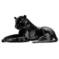 Deluxe Paws Large Black Panther Realistic Plush Toy 100 cm