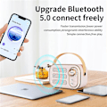 Pikkukuva 4 / 5: Mini Bluetooth 5.0 Langaton Klassinen Kaiutin Auto Retro Audio Ulkokäyttöön Kannettava Matka Pink
