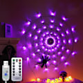 Miniatyrbild 1 av 3: Halloween Spider Web Lights With Controller,for Party Yard Bar Haunted House purple