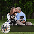 Miniatyrbild 1 av 4: Pet Grooming Hammock Helper Assistant Multifunctional Dry Towel Cat Dog Restraint Bag grey S