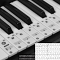 Miniatyrbild 1 av 4: Piano Keyboard Stickers - 88/61/54/49/37 Keys, 52 White And 36 Black Note Labels Stickers Full Set, Transparent And Removable, Interesting Piano Guide