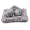 Miniatyrbild 3 av 7: Baby leksaker Härlig Simulering Labrador/Husky Docka Djurplysch Sovhundar Barnleksaker Rumsdekorationer Barn Present Labrador dog