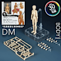 Miniatyrbild 5 av 7: Skiss Rita Man Kvinna Rörlig Kropp Kun Kropp Chan Ledvärk Anime Figur Shf Action Figur Leksak Modell Rita Skyltdocka Boy no box