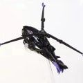 Miniatyrbild 4 av 7: APC Toys Transformation TFP Spindeldjur Nattgrevinnans mörka skog Treformers spindelhelikopter 18 cm actionfigur med låda WITH BOX