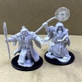Miniatyrbild 6 av 7: Lot Pathfinder Battles Deep Cuts Nolzur's Fighter Orc Druid Pirates Goblin Wolf Rogue Monk Brädspel Miniatyrer Miniatyrer Leksaker Pirates