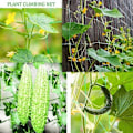 Pikkukuva 3 / 4: 4 kokoa 27 säiettä puutarhakasvien kiipeilyverkko Ipomoea Nil -kiipeilykukkia varten, kiipeilyrottinkiköydet kasveille green 1.8m*2.7m