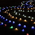 Pikkukuva 3 / 4: 50 LED valoa Persikkakukka Aurinkolamppu LED-nauhavalot valkoinen