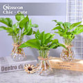 Miniatyrbillede 4 af 4: Glasvaser til Blomster med Hampesnor 3 Stk./Sæt Blomsterarrangementer, Blomstervaser Glas, Krystal Bud Vaser Kreative til Bryllup, Hjem, Køkken