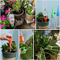Miniatyrbillede 3 af 5: Automatisk Plantevandingssæt 12-pak Automatisk Plantevandingskit med Langsom Frigivelse Kontrolventil
