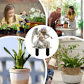 Miniatyrbillede 4 af 4: Dekorative Pinde, Fe Have Tilbehør Udendørs
