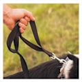 Miniatyrbillede 4 af 5: 10m Hundetræningsline - Stærk hundeline | Indkaldetræningsline | Hundesele til hvalp | Lang hvalpetræningsline | Lang hundeline