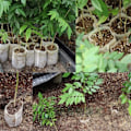 Miniatyrbillede 2 af 7: 100-pakke - Tomme frøposer / poser til frøplanter - Plante hvid