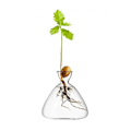 Miniatyrbild 1 av 4: 2 stilar Ny Transparent Fröstartvas För Odling av Frö Odlingskit Avokadoplanta Glasvas Gåva För Trädgårdsälskare B
