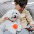 Miniatyrbilde 3 av 4: Smart Hundeball - Interaktiv Lekeball - Automatisk Rulling - Fjernkontroll