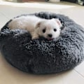 Miniatyrbillede 2 af 4: Hunde Kat Seng Rund Kattekurv Ekstra Blød Plys Komfortabel Sød Kæledyrsseng Dyb Søvn Kæledyr M Dark gray Style 1