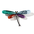 Miniatyrbild 1 av 5: Sländbrosch Pin Akryl Fly Insekt Bröstnål för Kvinnor Kläder Corsage